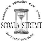 Scoala Stremt