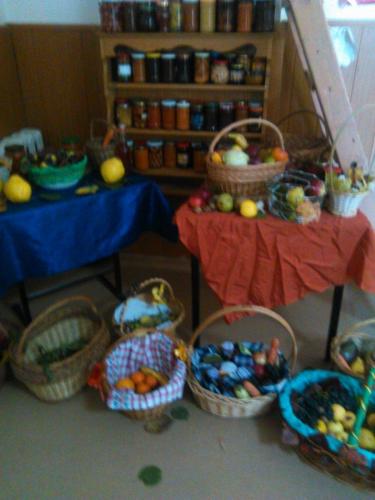 Poza facuta la sarbatorirea festivalului toamnei la Scoala Stremt